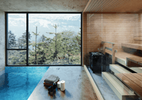 Helo Laava 9011 sauna heater positioned in a light wood sauna behind a large glass wall and adjacent to an inviting blue pool with mountain vistas through the window
